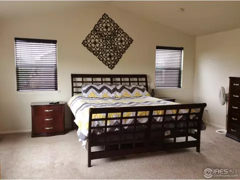 8115 Raspberry Dr, Frederick, CO 80504 photo 17