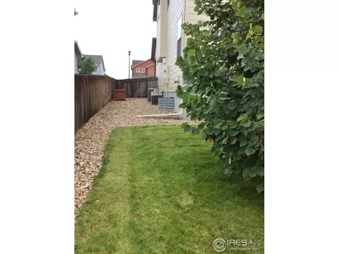 8115 Raspberry Dr, Frederick, CO 80504 photo 30
