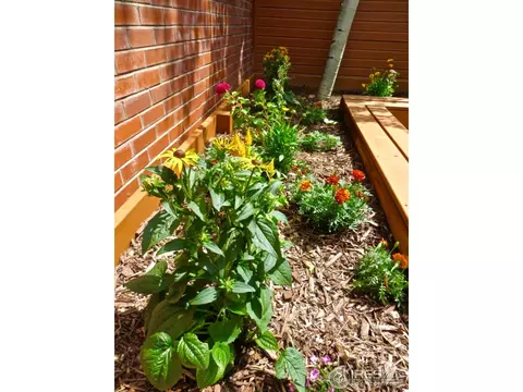 2244 Spruce St #A, Boulder, CO 80302 photo 23