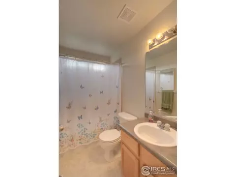 413 Windgate Ct, Johnstown, CO 80534 photo 19