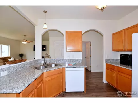 9841 Buffalo St, Firestone, CO 80504 photo 10