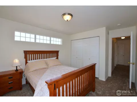 9841 Buffalo St, Firestone, CO 80504 photo 22