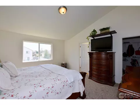 9841 Buffalo St, Firestone, CO 80504 photo 25