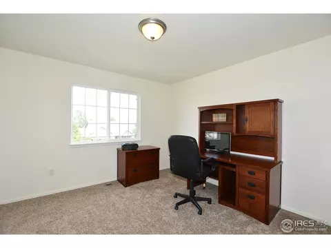 9841 Buffalo St, Firestone, CO 80504 photo 30