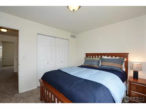 9841 Buffalo St, Firestone, CO 80504 photo 27