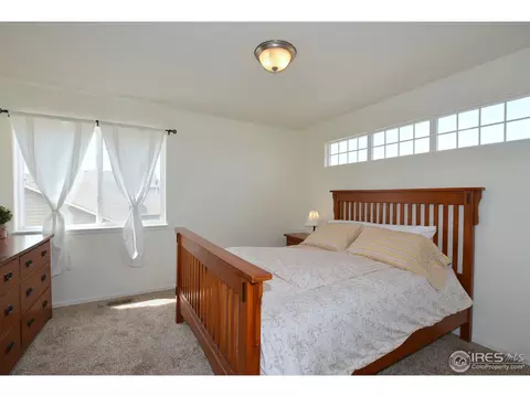 9841 Buffalo St, Firestone, CO 80504 photo 23