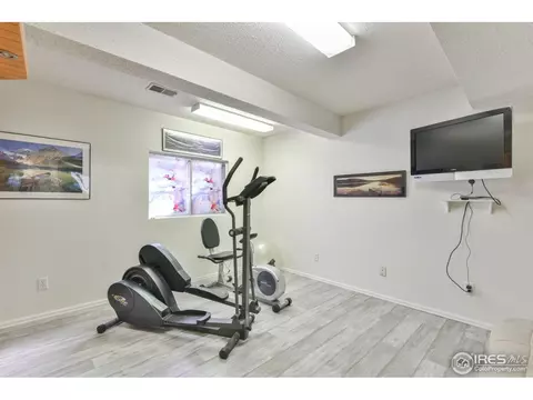 1116 Hemlock Ct, Windsor, CO 80550 photo 25