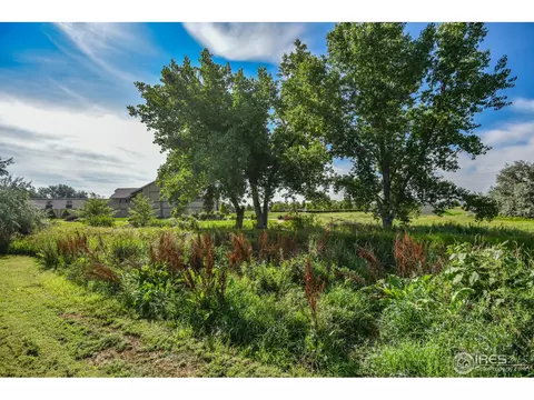 1116 Hemlock Ct, Windsor, CO 80550 photo 40