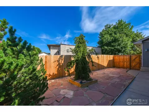 1116 Hemlock Ct, Windsor, CO 80550 photo 27