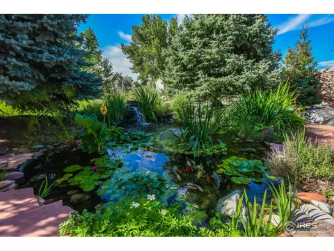 1116 Hemlock Ct, Windsor, CO 80550 photo 30
