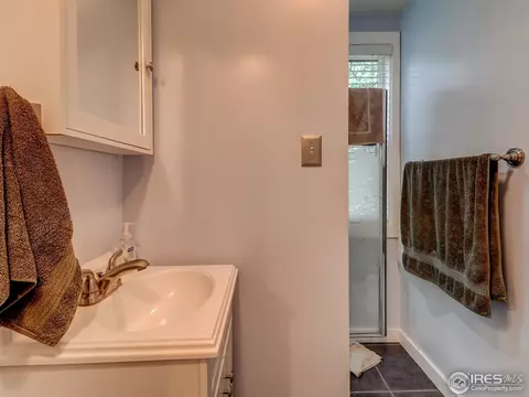 663 Hickory Dr, Lyons, CO 80540 photo 14