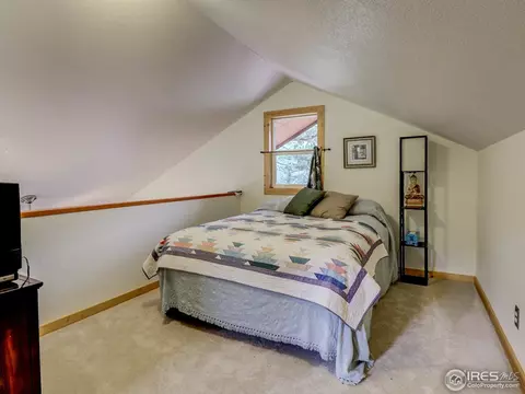 663 Hickory Dr, Lyons, CO 80540 photo 16