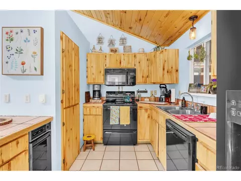 1676 G Path, Cotopaxi, CO 81223 photo 10