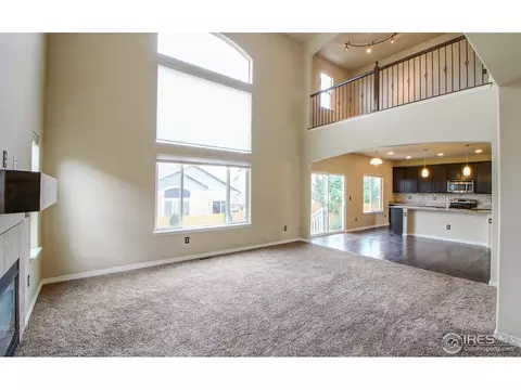 9010 Sandpiper Dr, Frederick, CO 80504 photo 23