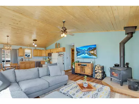 3028 High Creek Rd, Fairplay, CO 80440