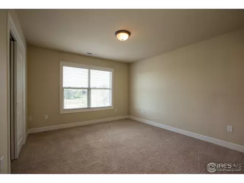 8427 Sand Dollar Dr, Windsor, CO 80528 photo 34