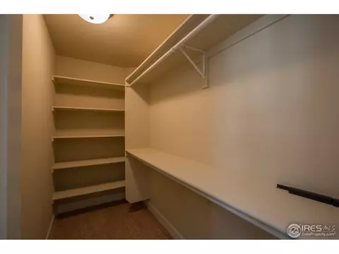 8427 Sand Dollar Dr, Windsor, CO 80528 photo 29