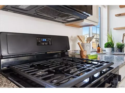 26229 E Maple Dr, Aurora, CO 80018 photo 5
