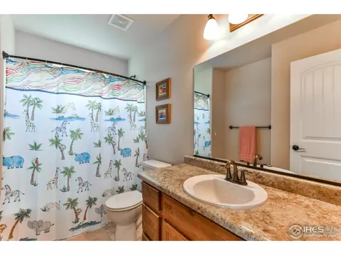 610 Moonglow Dr, Windsor, CO 80550 photo 23