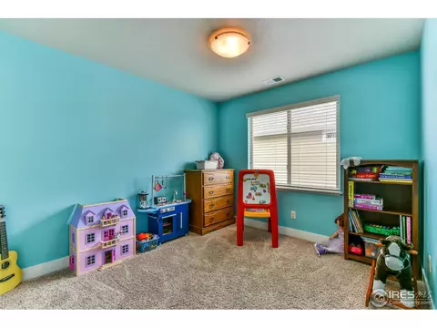 610 Moonglow Dr, Windsor, CO 80550 photo 22