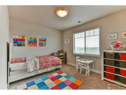 610 Moonglow Dr, Windsor, CO 80550 photo 21