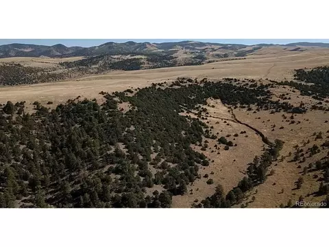 3890 Timber Ridge Rd, Westcliffe, CO 81252 photo 15