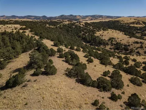 3890 Timber Ridge Rd, Westcliffe, CO 81252 photo 12