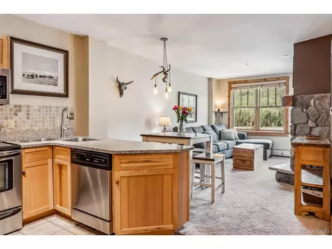 100 Dercum Sq #8386, Dillon, CO 80435