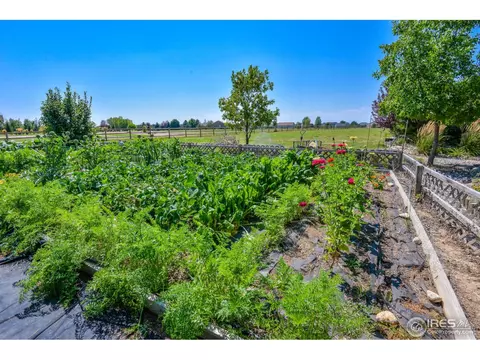 8735 Longs Peak Cir, Windsor, CO 80550 photo 34