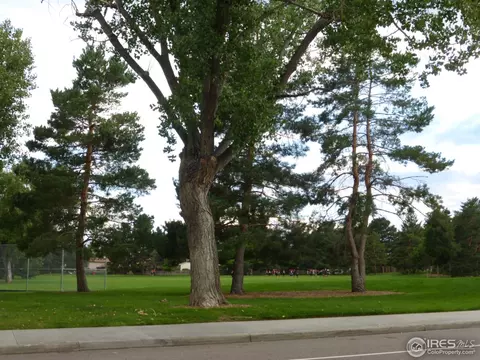 8449 Everett Way #B, Arvada, CO 80005 photo 6