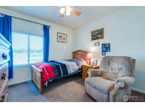 303 E Chestnut St, Windsor, CO 80550 photo 19