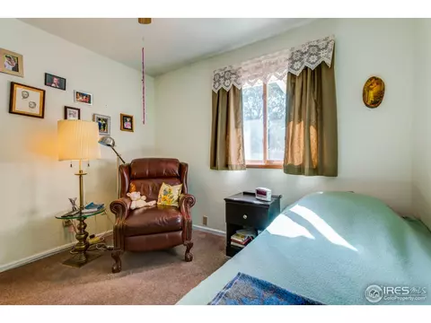 303 E Chestnut St, Windsor, CO 80550 photo 13
