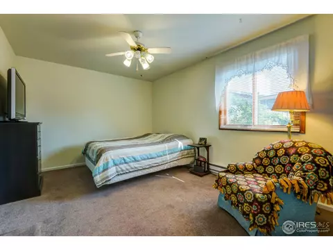 303 E Chestnut St, Windsor, CO 80550 photo 15