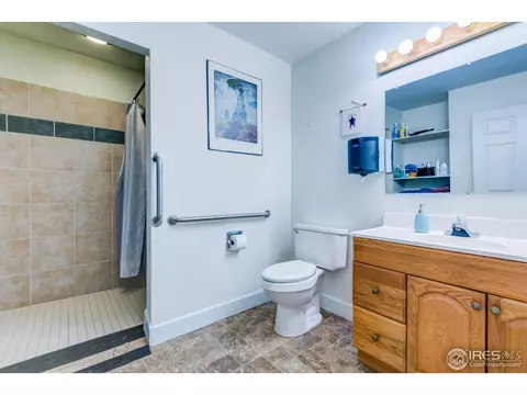 303 E Chestnut St, Windsor, CO 80550 photo 22