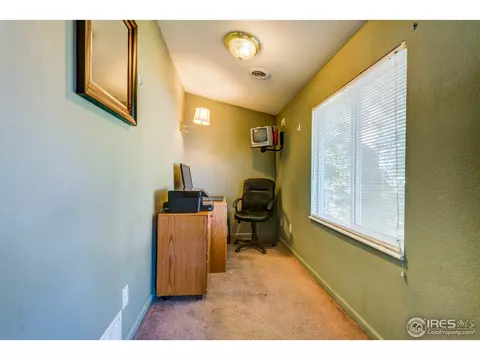 303 E Chestnut St, Windsor, CO 80550 photo 23