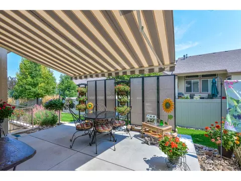 4606 Pompano Dr, Windsor, CO 80550 photo 33