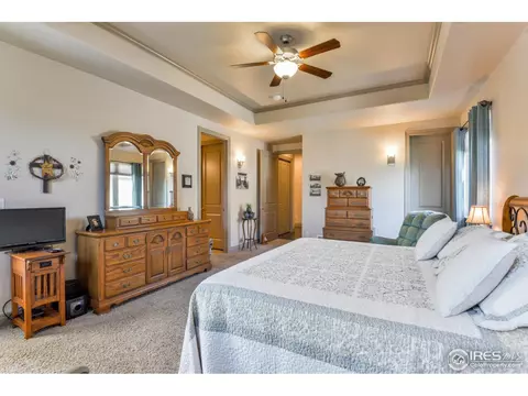 4606 Pompano Dr, Windsor, CO 80550 photo 19