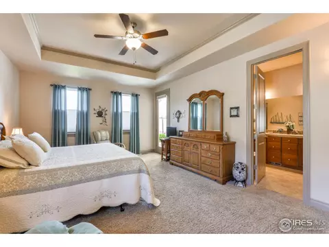 4606 Pompano Dr, Windsor, CO 80550 photo 18