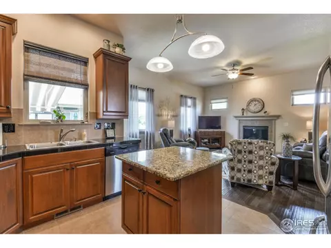 4606 Pompano Dr, Windsor, CO 80550 photo 16