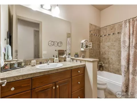 4606 Pompano Dr, Windsor, CO 80550 photo 27