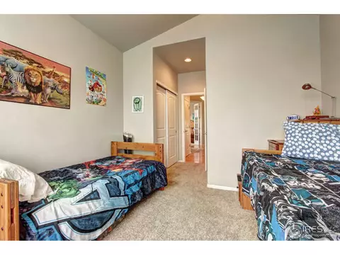 2085 Cape Hatteras Dr, Windsor, CO 80550 photo 15