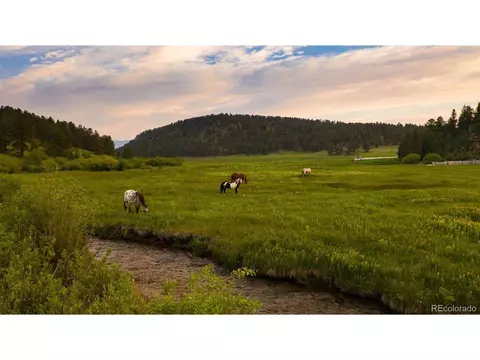64057 Us Highway 285, Bailey, CO 80421 photo 47