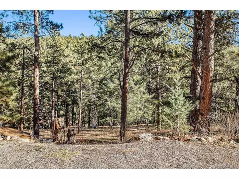 476 N Hill Dr, Bailey, CO 80421 photo 31