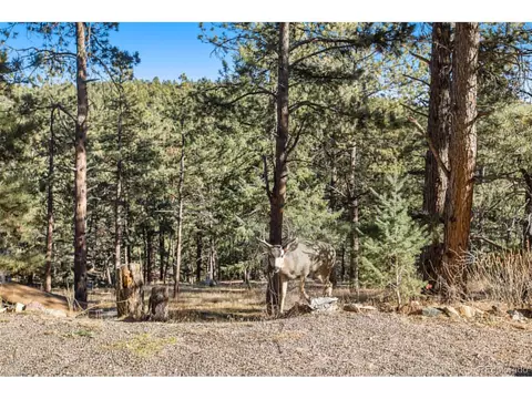 476 N Hill Dr, Bailey, CO 80421 photo 32