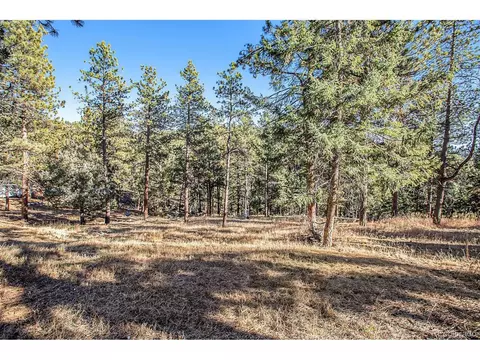 476 N Hill Dr, Bailey, CO 80421 photo 29