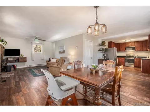 476 N Hill Dr, Bailey, CO 80421 photo 6