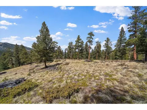 1435 Hitchrack Rd, Bailey, CO 80421 photo 16