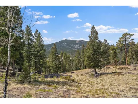 1435 Hitchrack Rd, Bailey, CO 80421 photo 15