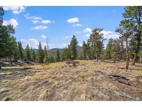 1435 Hitchrack Rd, Bailey, CO 80421 photo 17