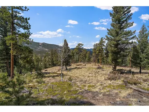 1435 Hitchrack Rd, Bailey, CO 80421 photo 13